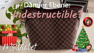 NEVERFULL MM Damier Ebene by LV A 7 year old REVIEW ProsCons… Should you still buy it [upl. by Teodorico]