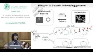 Conférence  E CHARPENTIER  Le CRISPR Cas9  La révolution de lingénierie génomique [upl. by Anam]