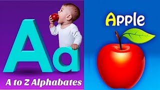 ABC Song  Kiddos Study Zone  ABC Phonics Song  ABCD  Tiny Tots  ABC lyrics song phonicsong [upl. by Nomis]