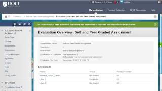 Blackboard 91  Self and Peer Assessment Student Instructions [upl. by Eeliah316]