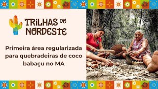 Primeira área regularizada para quebradeiras de coco no MA esperança comunidades em todo o País [upl. by Nylyrehc]