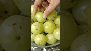 Benefits of Amla shorts amla recipe [upl. by Humbert]