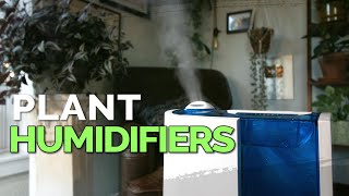 How to Use a Humidifier for Your Houseplants 💦🌱 [upl. by Ybot]