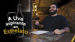 Malvasia Nera a uva aspirante ao estrelato [upl. by Linnea]