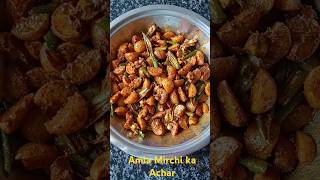 Amla hari mirch ka achar amlaachar pickle acharrecipe shorts amlakaachar indiancurrywithneha [upl. by Tonjes]