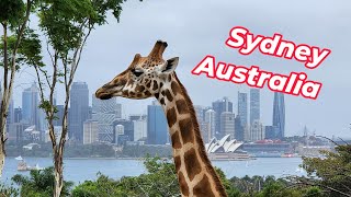 Trip Around the World  Sydney Australia  Episode 1 [upl. by Allecnirp]