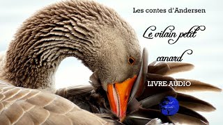 Le vilain petit canard  Les contes dAndersen Livre Audio [upl. by Aenaj]