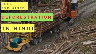 What Is Deforestation  Full Explain In Hindi  Watch Now [upl. by Merideth]