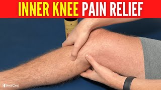 How to Relieve Inner Knee Pain in SECONDS [upl. by Laing297]