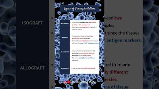 Types of Transplantation Autograft Isograft Allograft amp Xenograft PreU Biology shorts short [upl. by Alliuqat]