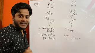 Inflorescence  পুষ্পবিন্যাস Gymnosperm amp AngiospermPart1 Dr Fahad FAB Fahad Biology [upl. by Bernita]