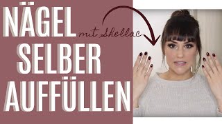 NÄGEL SELBER AUFFÜLLEN  REFILL MIT SHELLAC  KathisFinest [upl. by Mackler]