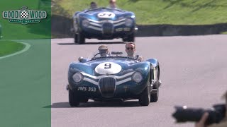 Ecurie Ecosse tribute parade  Goodwood Revival 2017 [upl. by Jankey932]