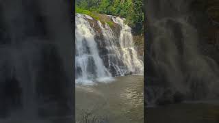 Abbey waterfalls coorg india travel youtubeshorts [upl. by Yeca]