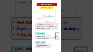 Patolojik T Dalgaları [upl. by Nerual264]