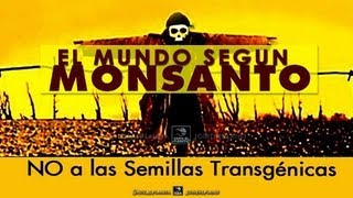 quotEL MUNDO SEGÚN MONSANTOquot  Documental completo doblado al Español [upl. by Duffie]