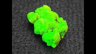 Lamellar Autunite Crystal  Fluorescent Uranium Ore 107 Grams [upl. by Zel]