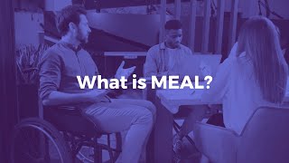 What is MEAL Understanding Accountability and Learning [upl. by Ilocin602]