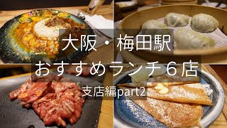 大阪・梅田駅周辺おすすめランチ６店  実力のある支店編part2 Osaka Umeda gourmet Restaurant Lunch [upl. by Arola822]