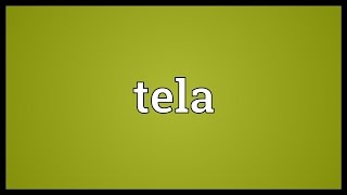 Tela Meaning [upl. by Ferreby702]