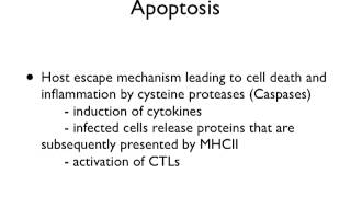 Viral Evasion Strategies Lecture 15 [upl. by Otsugua]