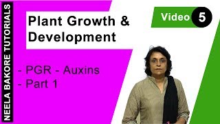 Plant Growth amp Development  NEET  PGR  Auxins  Part 1  Neela Bakore Tutorials [upl. by Enomas]