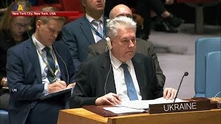 UN Security Council Urges Russia to Step Away from Further Confrontation in Azov Sea [upl. by Cherish]