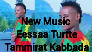 Tammirat KabbaadaHundaa Dandeenye New Oromo Music 2024 OfficialTasfayeentartinment1670 [upl. by Sehguh]