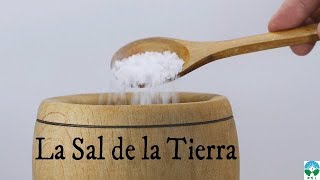 La sal de la tierra  Reflexión [upl. by Ahseken]