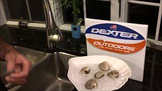 How to OPEN Quahogs correctly  Dexter Outdoors [upl. by Notyard178]