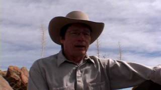 Tremors the movie  SS Wilsons Stories  the idea behind the film [upl. by Schlicher]