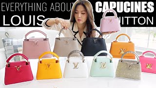 EVERYTHING ABOUT LV CAPUCINES BAGS  IN DEPTH REVIEW VALUE PRICES COMPARISON WHAT FITS  CHARIS [upl. by Pasquale]