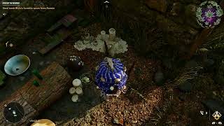 Far Cry 6  Vencejo Hidden Idol  Prado Meadows [upl. by Nitsew]