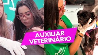 Auxiliar Veterinário  Minha experiência [upl. by Dnalevets]