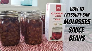 No Soak Molasses Beans with Forjars Lids [upl. by Elrebma]