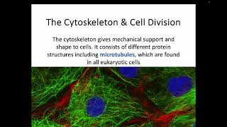 AH Biology 15a  The Cytoskeleton amp Cell Division [upl. by Sybil790]