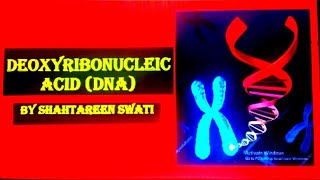 Part1 Deoxyribonucleic acid DNA Structurecomposition oxy vs deoxyribose Phosphodiaester bond [upl. by Ahsekan975]