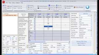 Flowserve Control Valve Sizing [upl. by Ilwain]