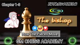 The Bishop  Introduction  Chapter 13  GRAND MASTER CHESS ACADEMY [upl. by Jewett]