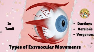 Types of Extra ocular Movements Eyes optometry studywithjeslin  Ductions  Versions  Vergences [upl. by Aillicec636]