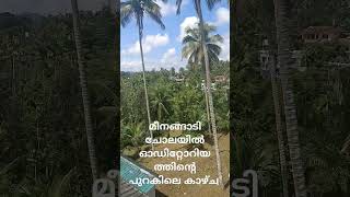 Meenangadi wayanad മീനങ്ങാടി വയനാട് [upl. by Avid]