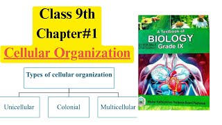 Cellular Organization Unicellular Colonial and Multicellular Organization Class 9 Biology Urdu [upl. by Boswell]