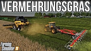 Harvesting Vermehrungsgras amp Making Hay  New Woodshire  Farming Simulator 19 [upl. by Stanford803]