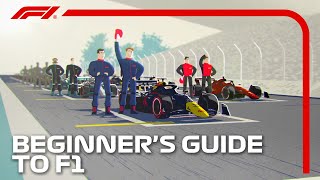 Beginners Guide to F1 [upl. by Bagley]