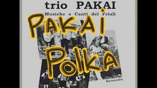 Trio Pakai  SOLO POLKA musica tradizionale carnica [upl. by Nagear]