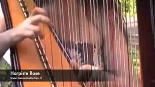 Harpiste Rose  klassieke harp achtergrondmuziek  harp muziek [upl. by Odine]