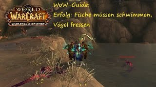 WoWGuide Erfolg Fische müssen schwimmen Vögel fressen [upl. by Monroy]