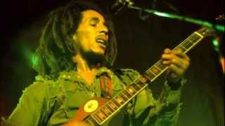 Bob Marley  Three Little Birds LIVE 1980 RARE [upl. by Ylrrad649]