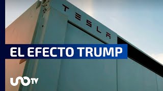 En pausa construcción de planta de Tesla en Nuevo León [upl. by Adon]