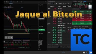 ☝️ TENSORCHARTS 🚧 Herramienta muy útil vistazo general y simple de lo que es Bitcoin Hoy [upl. by Emerej]